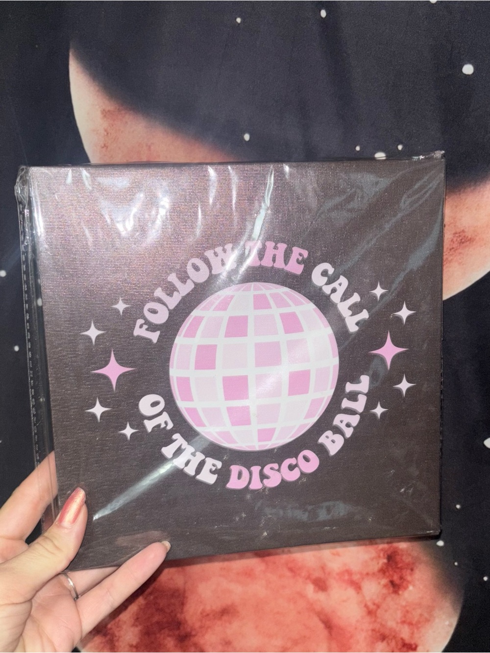 Follow the Call of the Disco Ball Pink Party Canvas